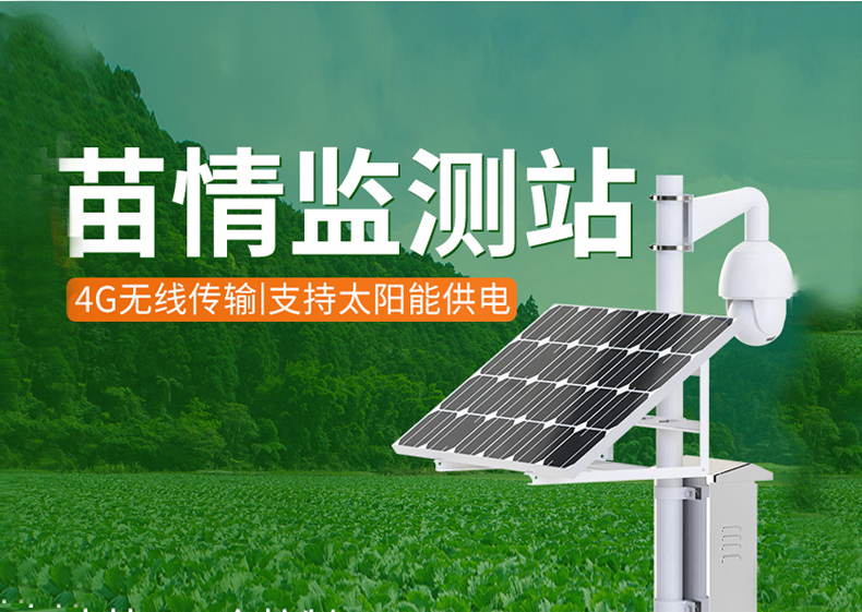 苗情監(jiān)測站